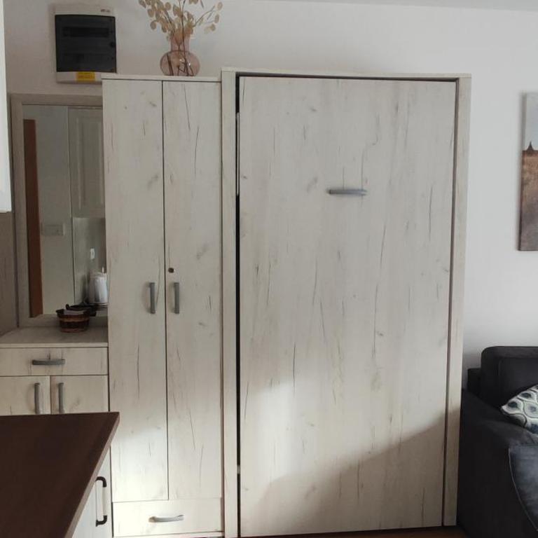 Vila Irina Kopaonik - Apartman Jovana - Standard Studio - 7