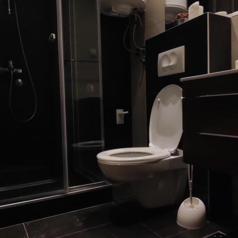 Vila Irina Kopaonik - Apartman Jovana - Standard Studio - 8