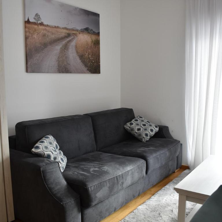 Vila Irina Kopaonik - Apartman Jovana - Standard Studio - 2