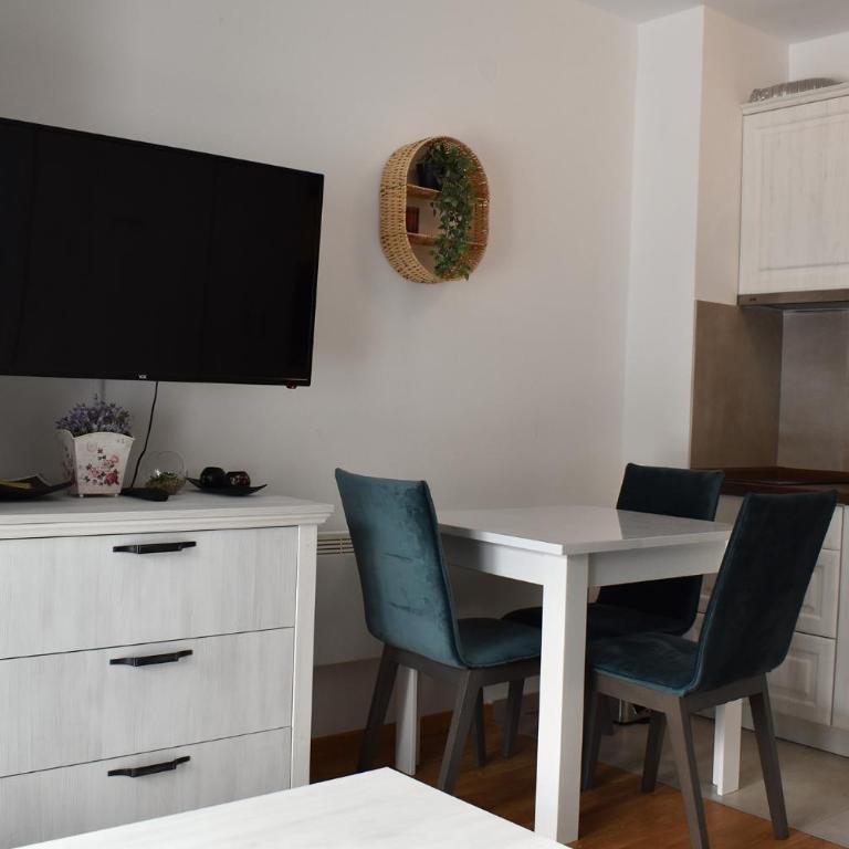 Vila Irina Kopaonik - Apartman Jovana - Standard Studio - 1