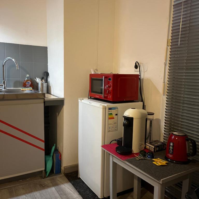 Logement type studio 1 piece proche zénith - Estudio - 1