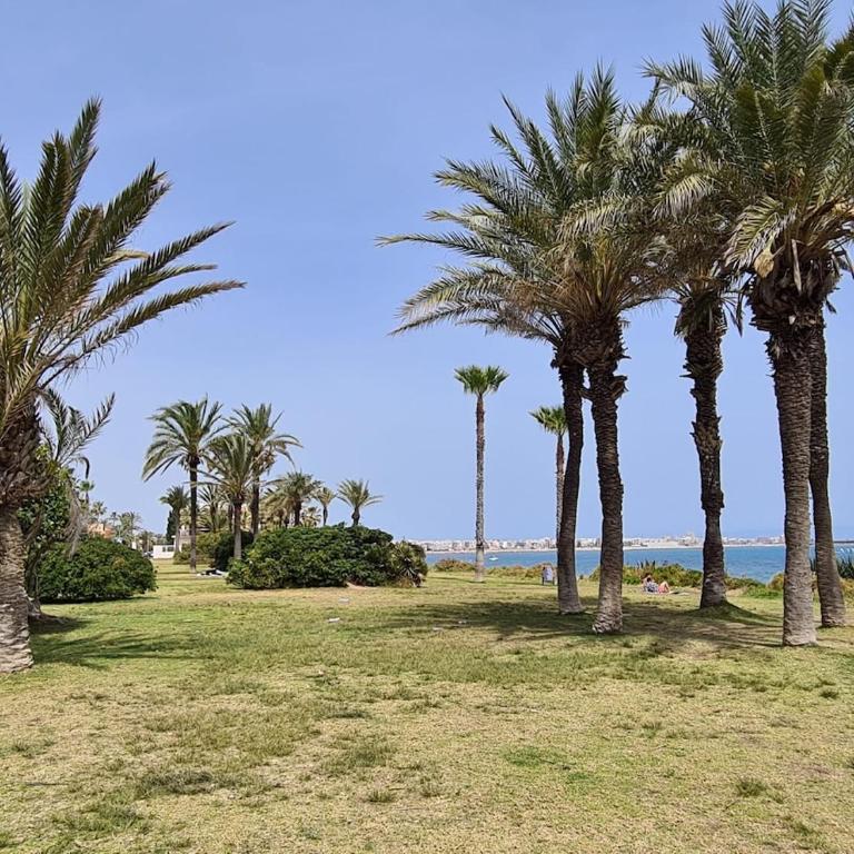 Apartment Playa La Veleta - Apartment mit 2 Schlafzimmern - 35