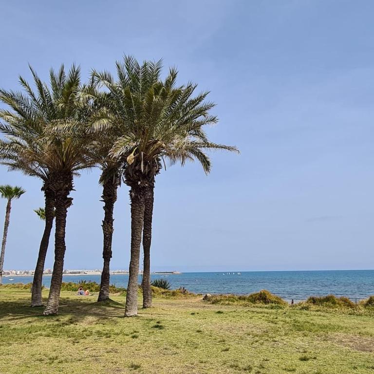 Apartment Playa La Veleta - Apartment mit 2 Schlafzimmern - 38
