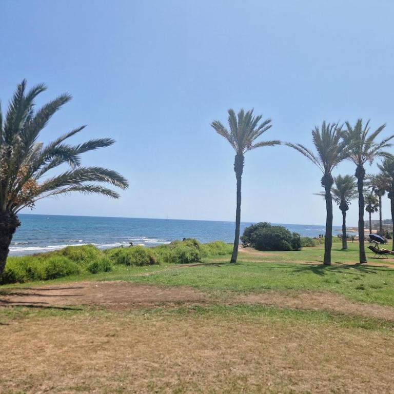 Apartment Playa La Veleta - Apartment mit 2 Schlafzimmern - 40