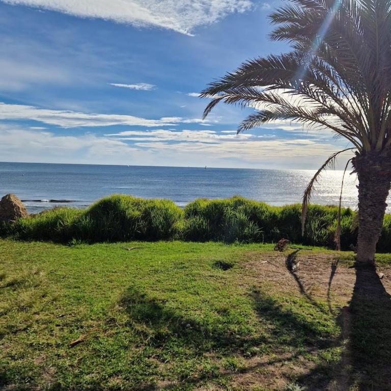 Apartment Playa La Veleta - Apartment mit 2 Schlafzimmern - 42