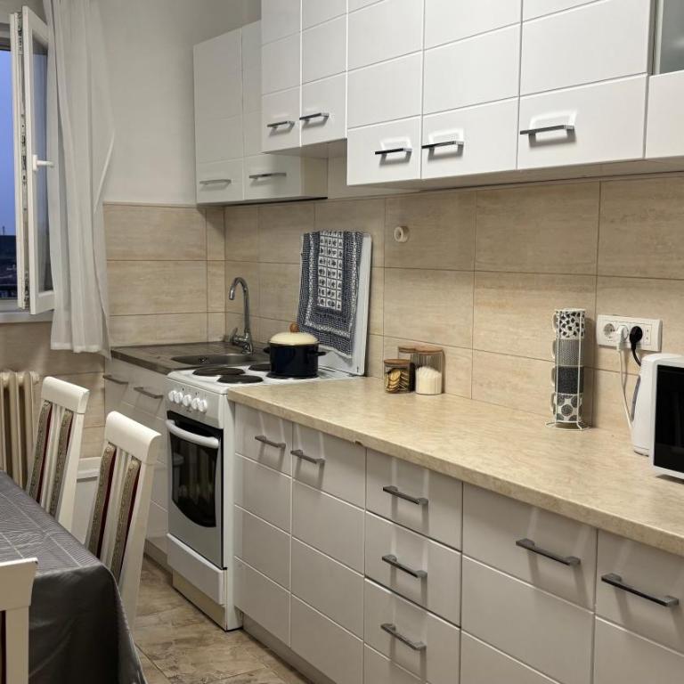 Charming Vracar Apartment near Saint Sava Temple - Apartman sa 2 Spavaće Sobe - 5