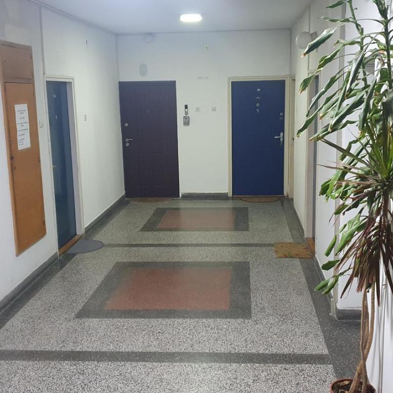 Charming Vracar Apartment near Saint Sava Temple - Apartman sa 2 Spavaće Sobe - 18