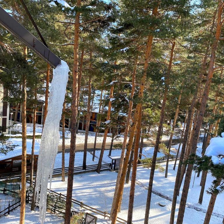 Ski runs - Sweet Vintage Home - Apartamento de 1 dormitorio - 26