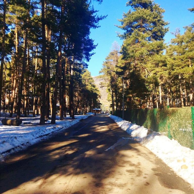 Ski runs - Sweet Vintage Home - Apartamento de 1 dormitorio - 31