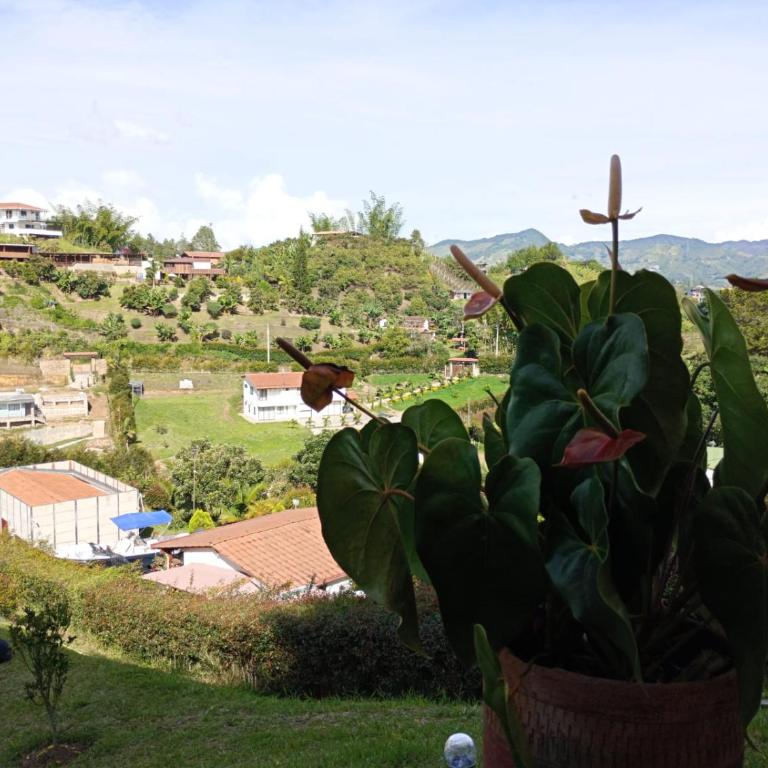Alojamiento Cabaña El Peñol, cerca Piedra, Guatapé - Casa de 2 dormitorios - 28