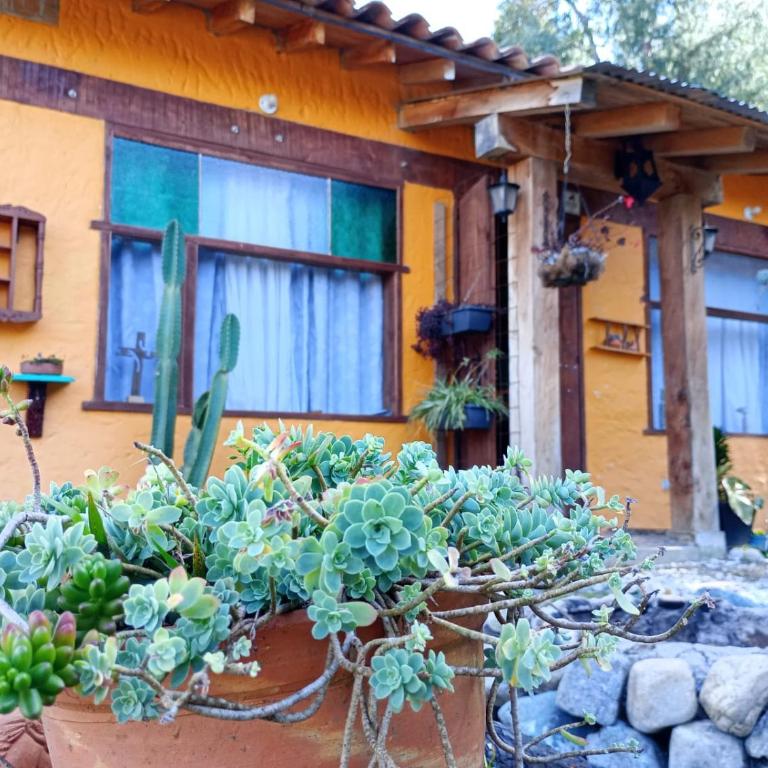 Alojamiento Cabaña El Peñol, cerca Piedra, Guatapé - Casa de 2 dormitorios - 26