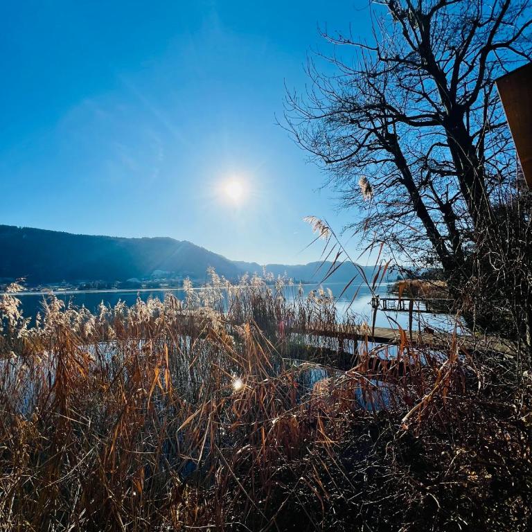 See-Apartment AURA am Fuße der Gerlitzen Alpe und Ufer des Ossiacher Sees - mit privatem Seezugang & Hallenbad - Apartment - 33