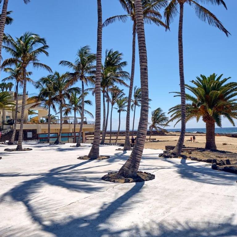 Golden Sun Apartment - Apartamento de 1 dormitorio - 31