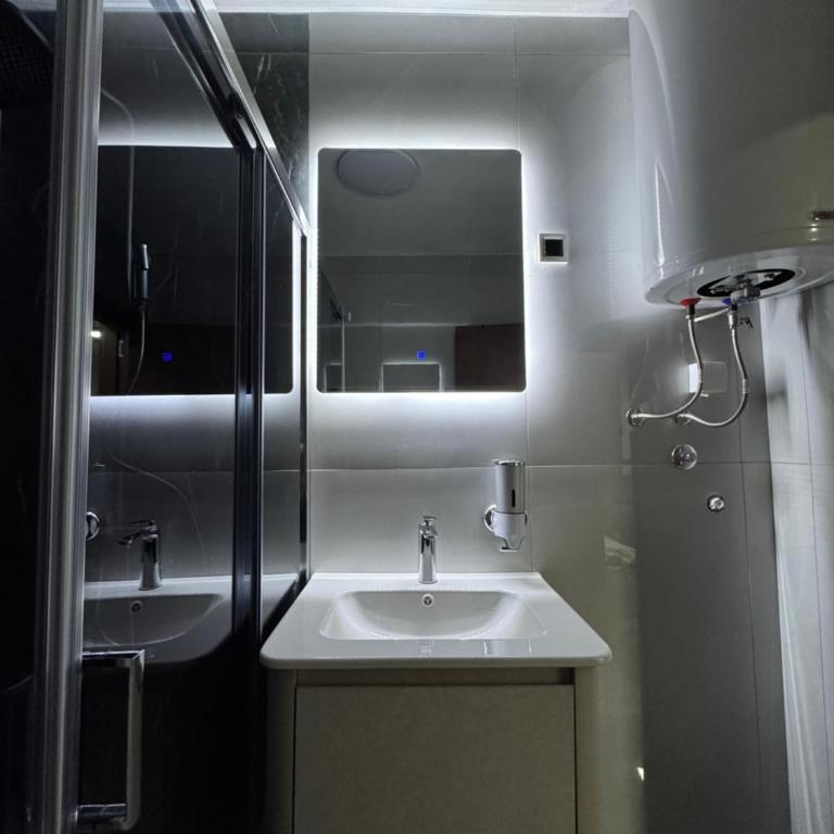 Vila Banovic - Apartman sa 1 Spavaćom Sobom - 23