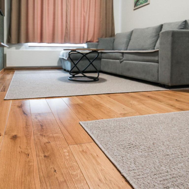 Apartmani Jovičić Kopaonik - Apartman sa 1 Spavaćom Sobom - 10