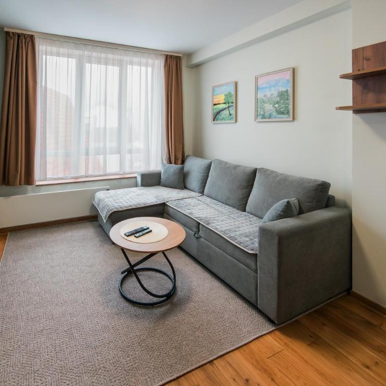 Apartmani Jovičić Kopaonik - Apartman sa 1 Spavaćom Sobom - 16