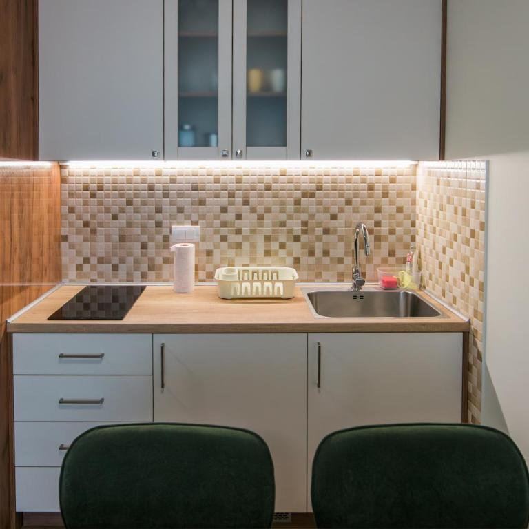 Apartmani Jovičić Kopaonik - Apartman sa 1 Spavaćom Sobom - 22