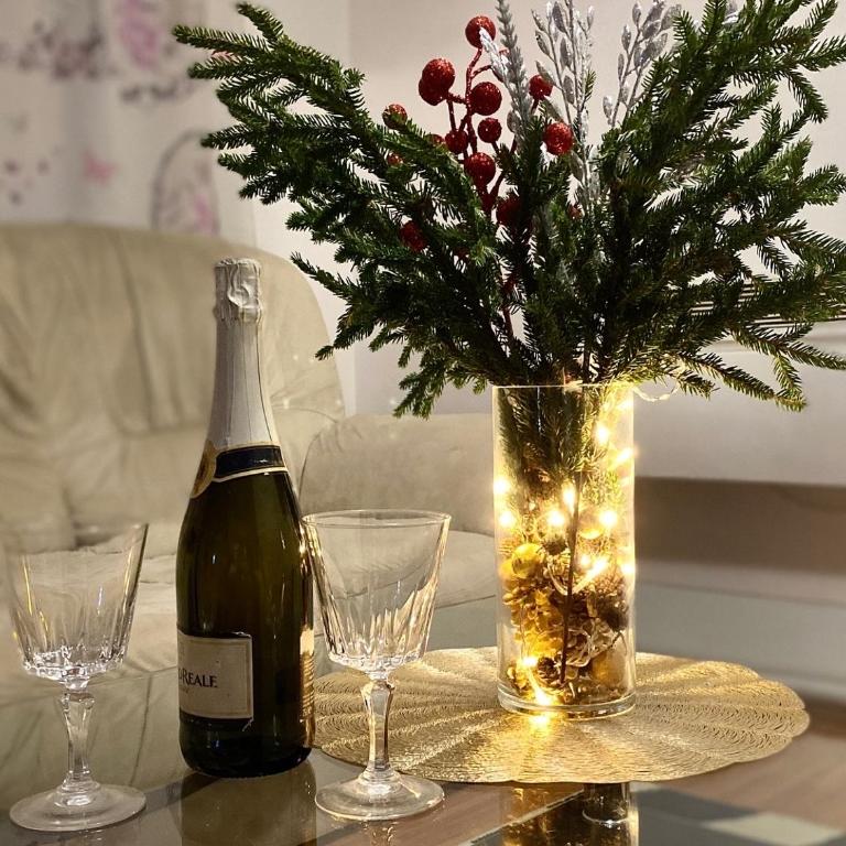Apartman Nikola - Two-Bedroom Apartment - 1