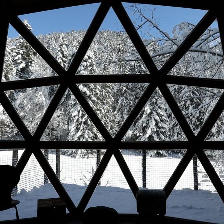 Dôme panoramique tout confort au cœur du Vercors - Chalet - 10