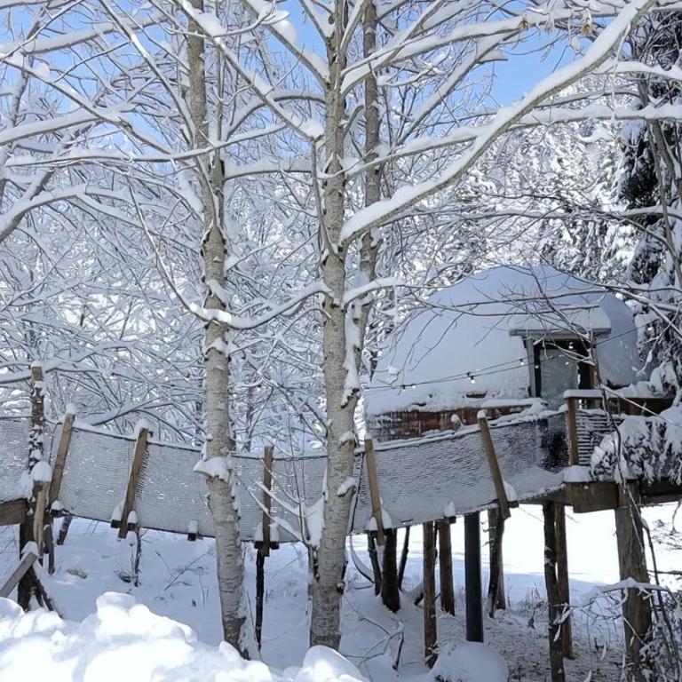 Dôme panoramique tout confort au cœur du Vercors - Chalet - 74