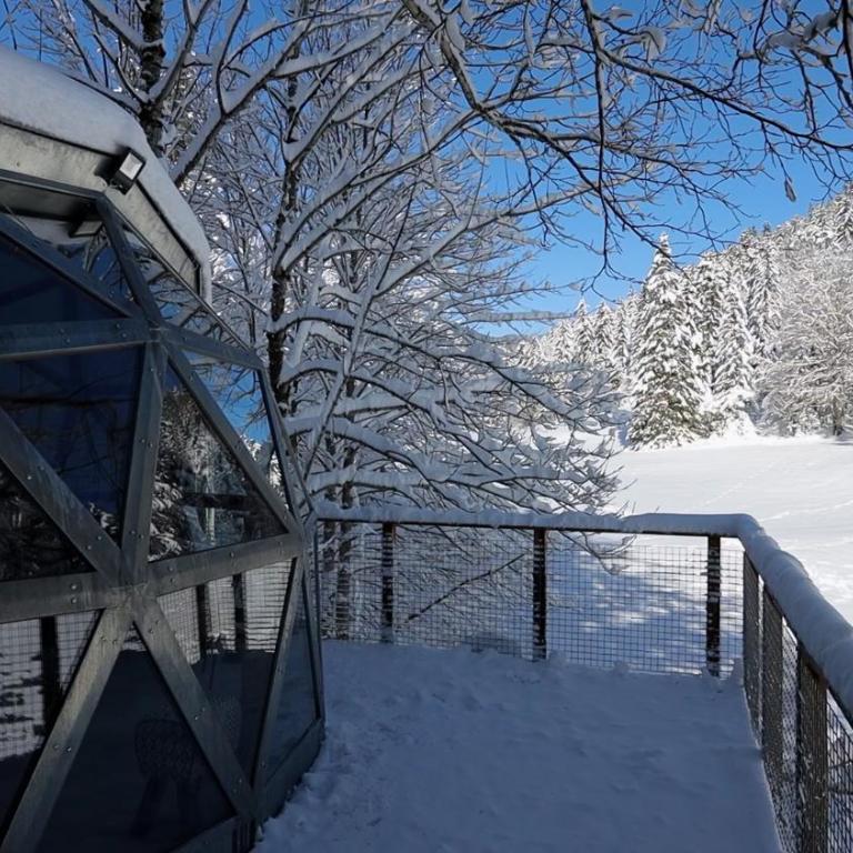 Dôme panoramique tout confort au cœur du Vercors - Chalet - 30
