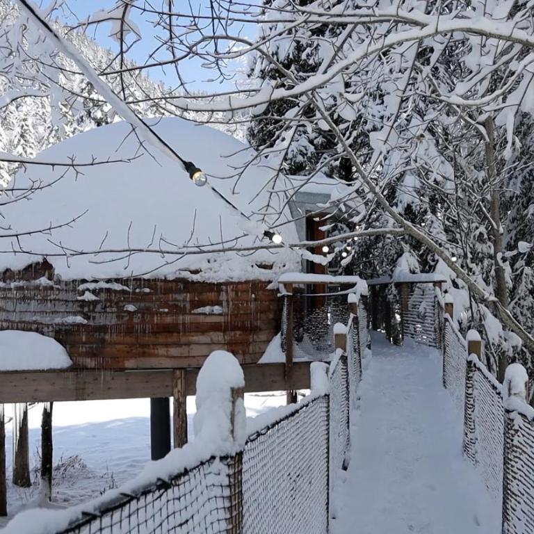 Dôme panoramique tout confort au cœur du Vercors - Chalet - 62