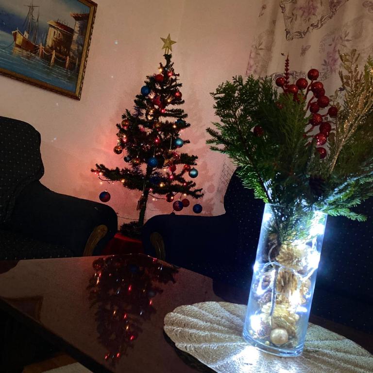 Apartman Nikola - Two-Bedroom Apartment - 2