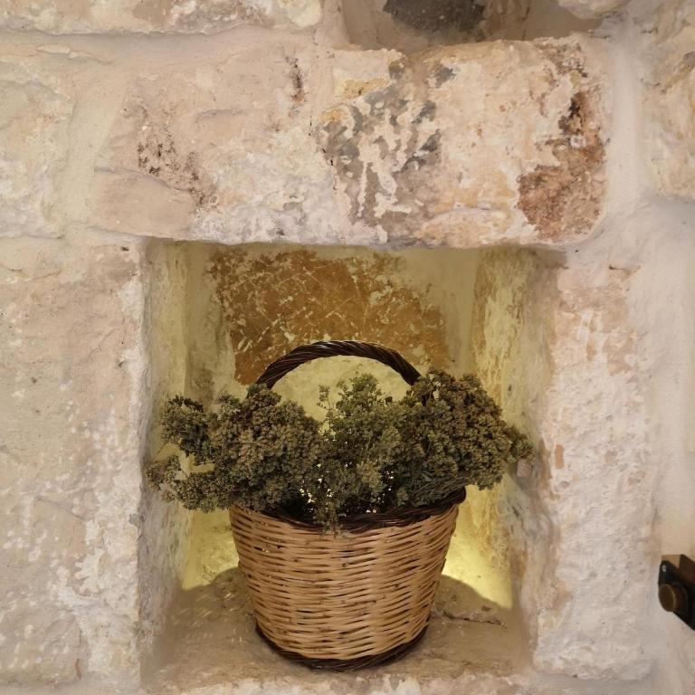 Eremo di San Giusto - Trullo Vista Mare - Villa con Vista Mare - 65
