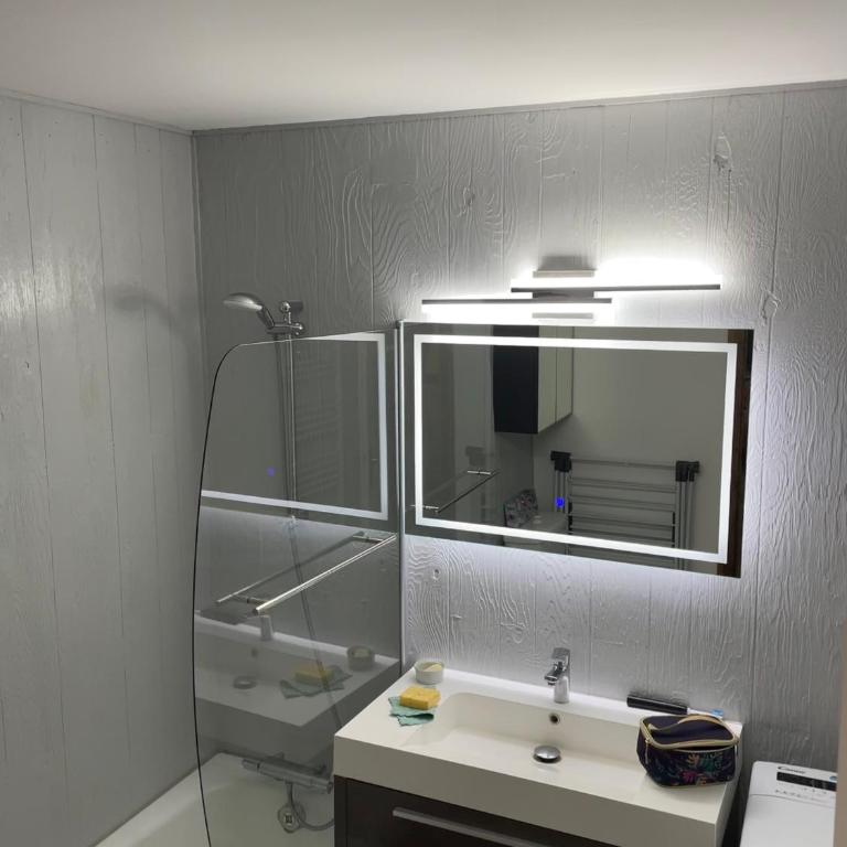Grand studio Combloux - Vue Mont Blanc - Appartement 1 Chambre - 5