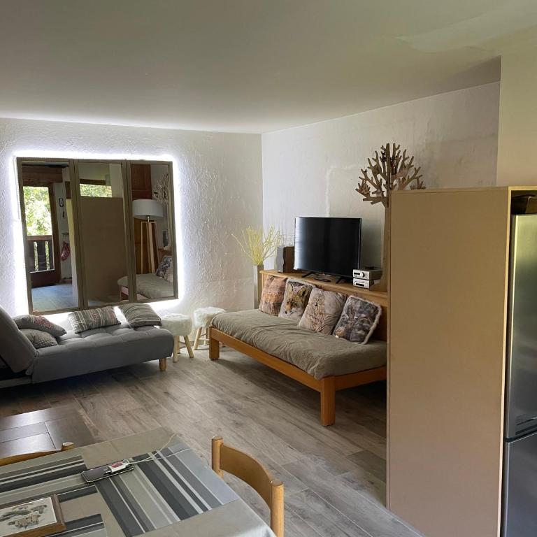 Grand studio Combloux - Vue Mont Blanc - Appartement 1 Chambre - 1
