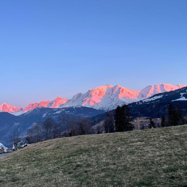 Grand studio Combloux - Vue Mont Blanc - Appartement 1 Chambre - 11