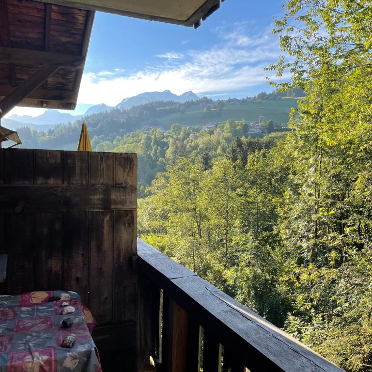 Grand studio Combloux - Vue Mont Blanc - Appartement 1 Chambre - 7