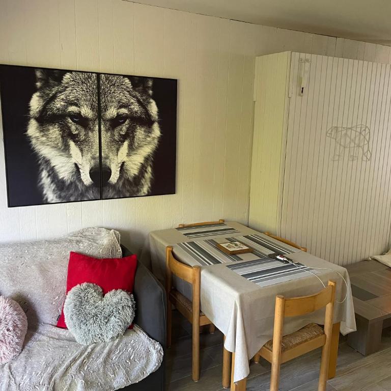 Grand studio Combloux - Vue Mont Blanc - Appartement 1 Chambre - 6