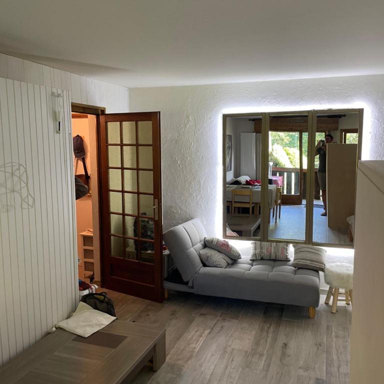 Grand studio Combloux - Vue Mont Blanc - Appartement 1 Chambre - 3