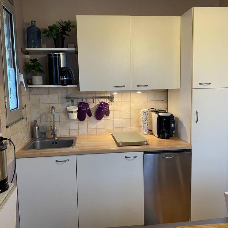 Appartement rénové à 20m de la plage Trestraou, 2 ch, court séjour possible, animal accepté - FR-1-368-444 - Apartment - 2