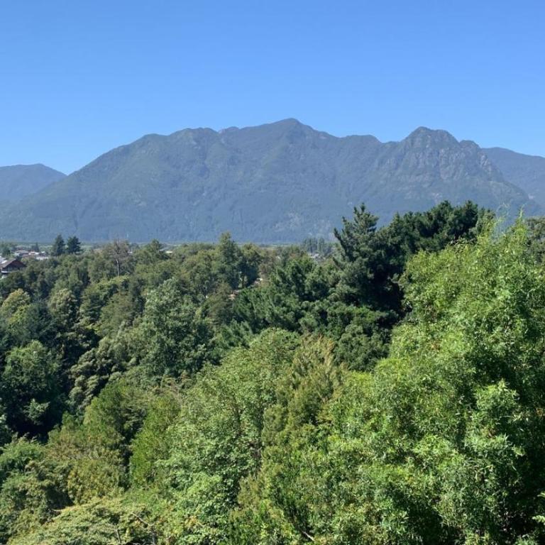 Maravilloso Depto en Edificio el Mirador Pucon - Apartamento - 9