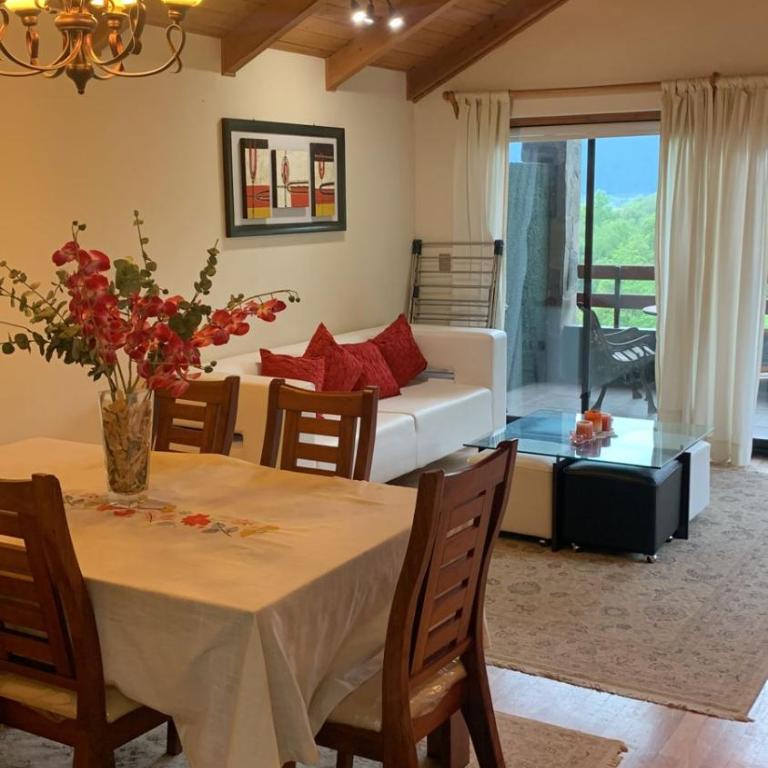 Maravilloso Depto en Edificio el Mirador Pucon - Apartamento - 12