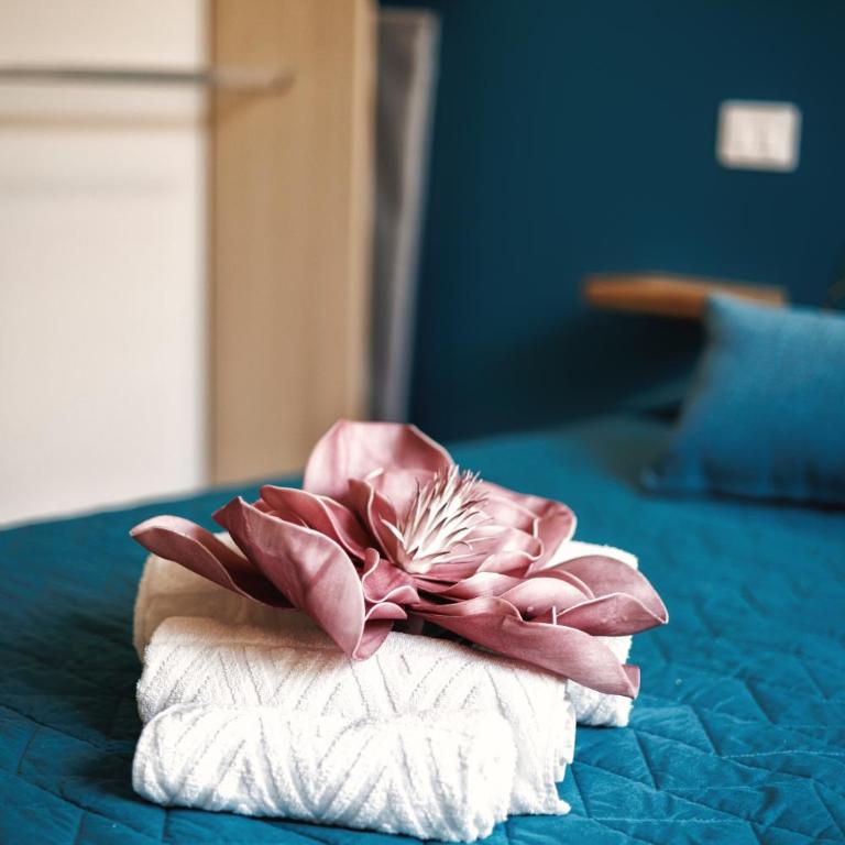 Boccaccio Apartment - Appartamento con 1 Camera da Letto - 50