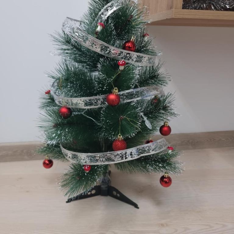 Apartman Royal - Apartman sa 1 Spavaćom Sobom - 10
