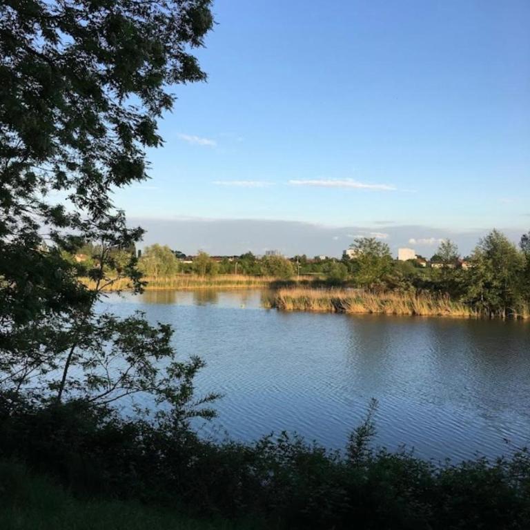 Le Cocon des Rives - Appartement 1 Chambre - 12