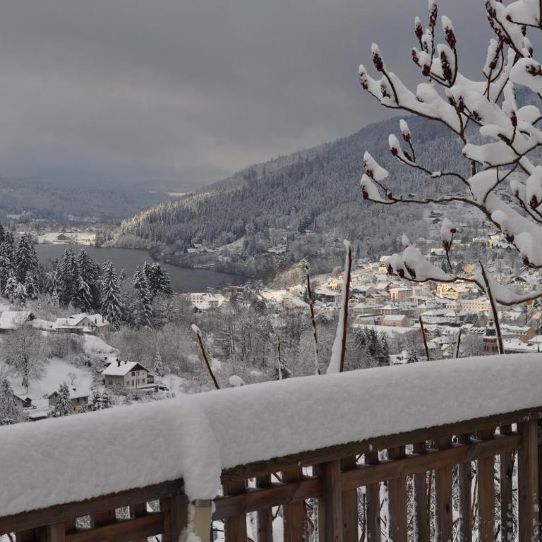Chalet Modus, Belle vue lac, Sauna, Wifi - Chalet - 2