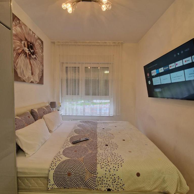 Apartmani Stan na dan 34 - Apartman sa 2 Spavaće Sobe i Balkonom - 19