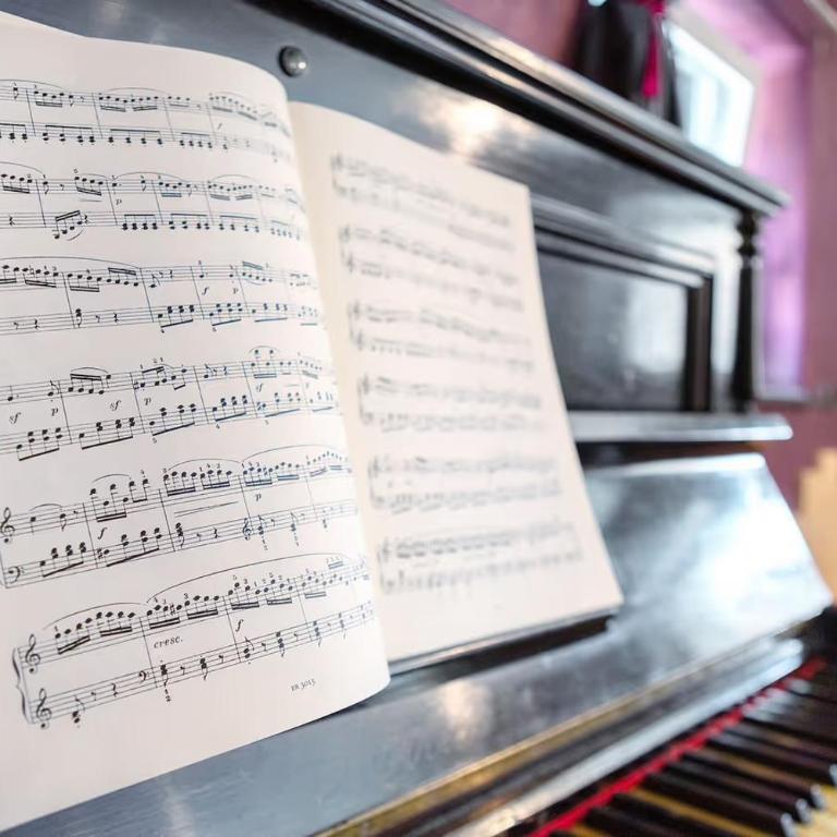 Maison de la Musique - Appartamento - Piano Terra - 7