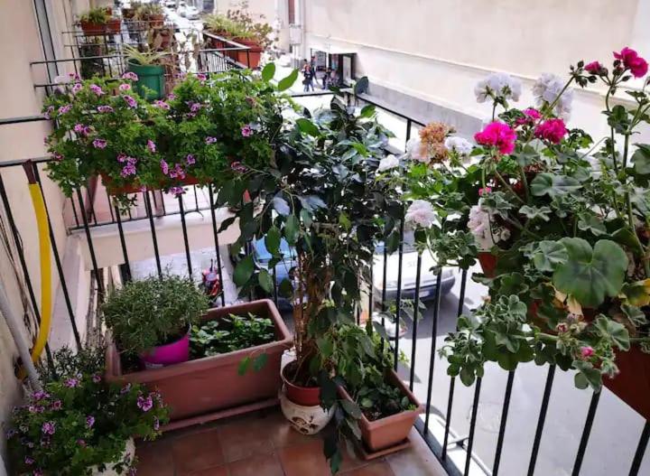 Trinità City Centre - locazione turistica affitto breve - Three-Bedroom Apartment - 27