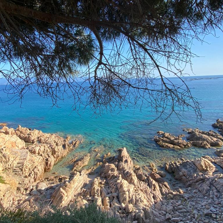 Appartement Marinella route des Sanguinaires Corse - Appartement 2 Chambres - 29