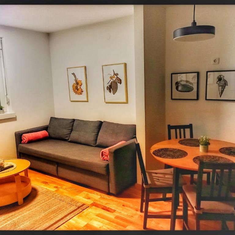 Apartman Fonte Vrnjačka Banja - Appartement 1 Chambre - 4