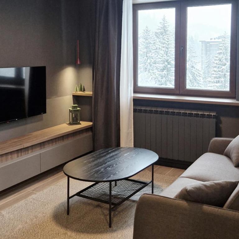Nova Planina Jahorina - One-Bedroom Apartment with View - 4