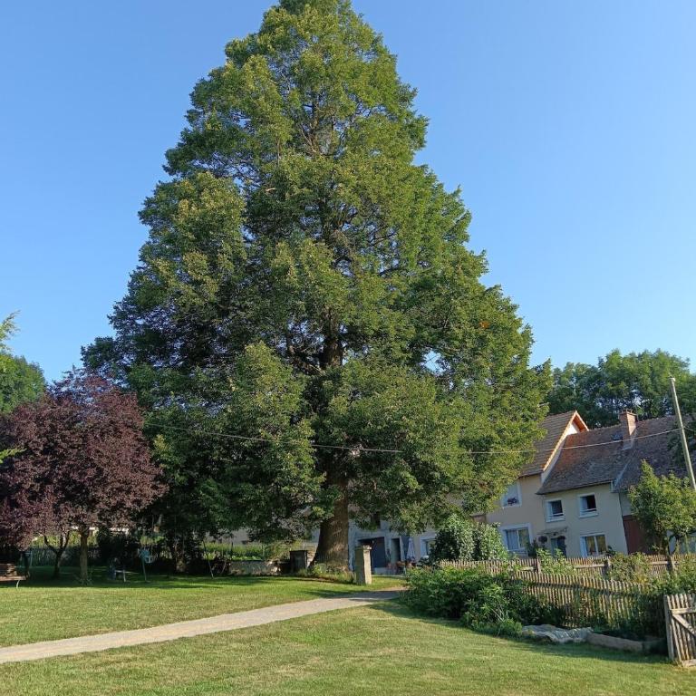 Gîte du Tilleul - Maison de Vacances - 1