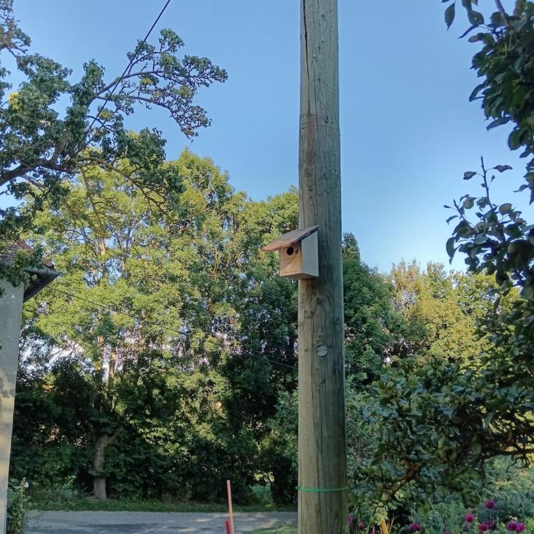 Gîte du Tilleul - Maison de Vacances - 31