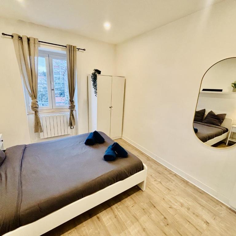 Le cocon stéphanois - Proche gare - Saint Etienne - Appartement - 3